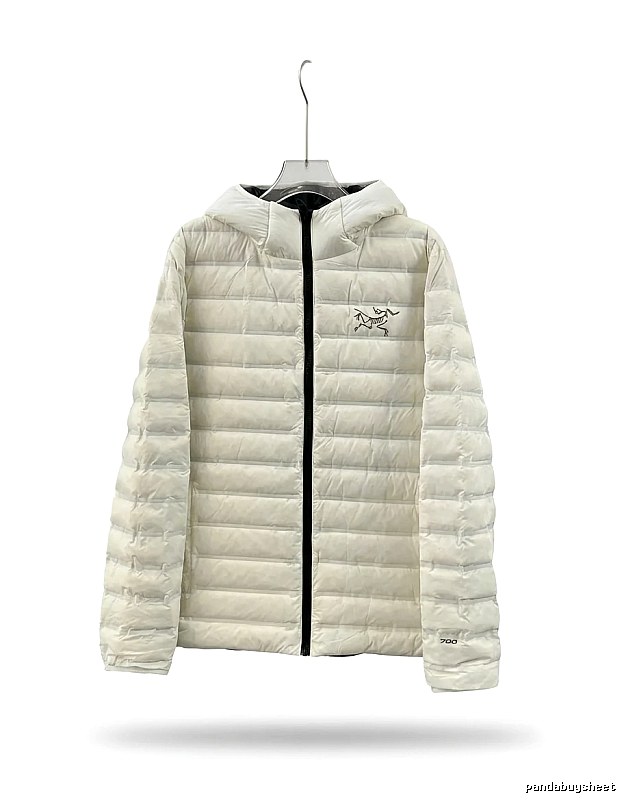 Arc'teryx lightweight white duck down down jacket